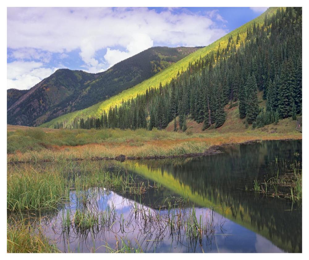 Pond And Mountains, Maroon Bells-Snowmass Wilderness Area, Colorado-Paper Art-46X38.52