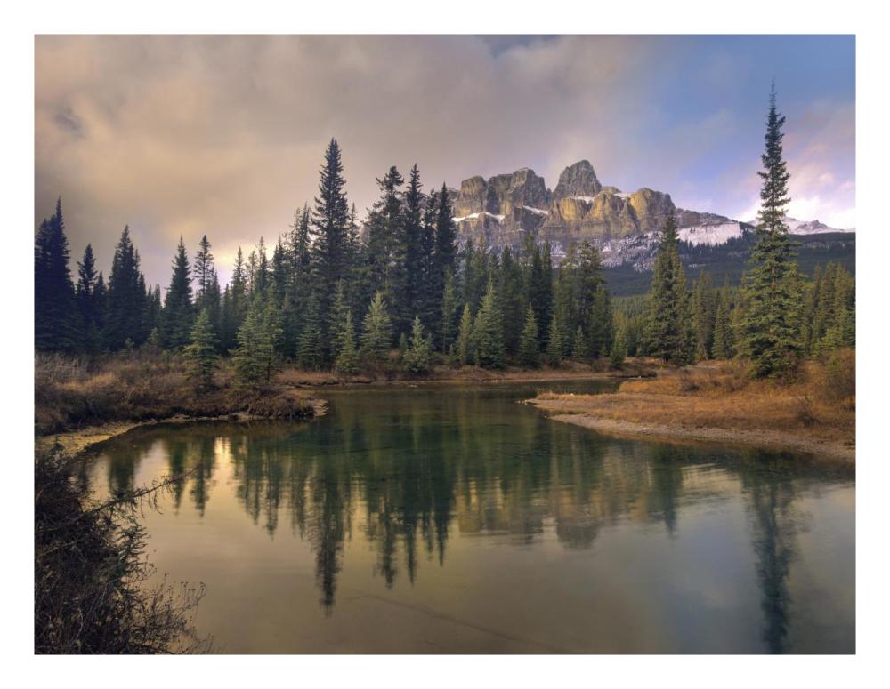 Castle Mountain And Boreal Forest Reflected In Lake, Alberta, Canada-Paper Art-26X20