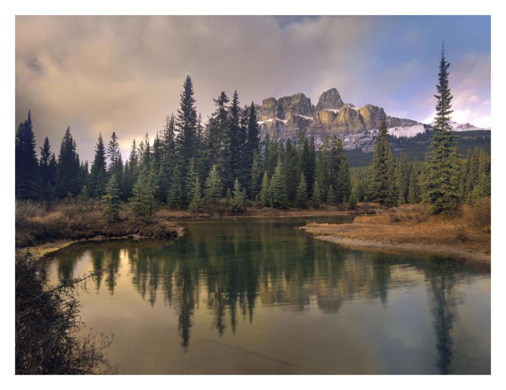 Castle Mountain And Boreal Forest Reflected In Lake, Alberta, Canada-Paper Art-34X26