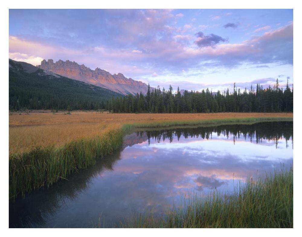 Dolomite Peak And Bow River Backwaters, Banff National Park, Alberta-Paper Art-18X14