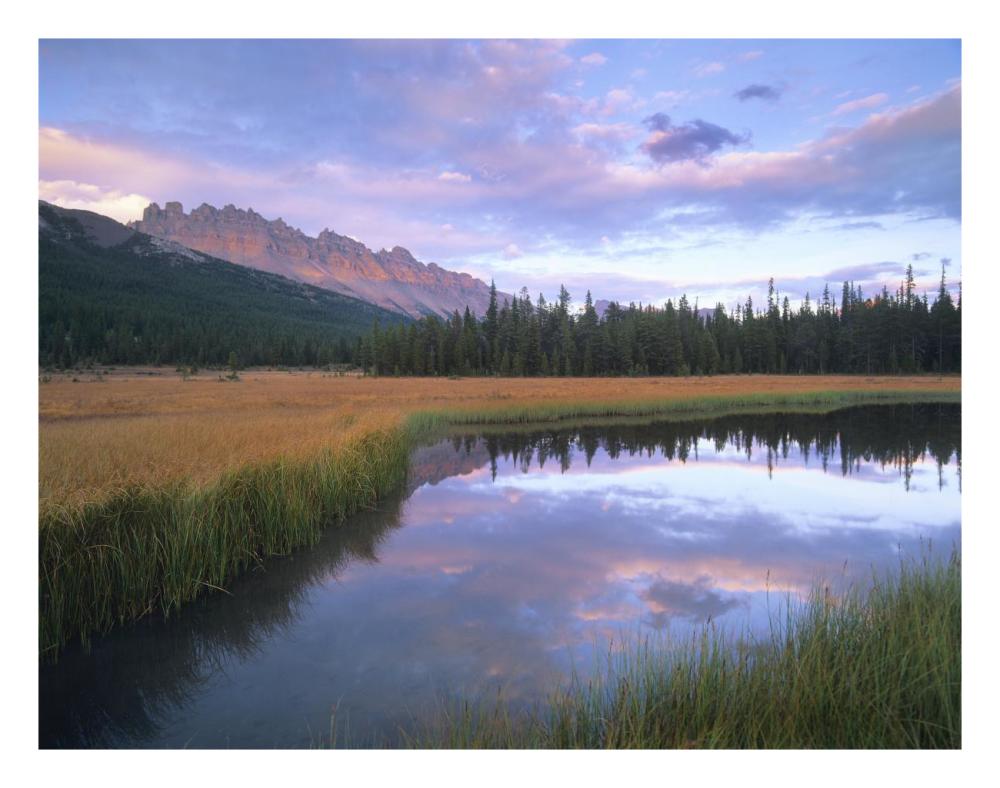 Dolomite Peak And Bow River Backwaters, Banff National Park, Alberta-Paper Art-26X20