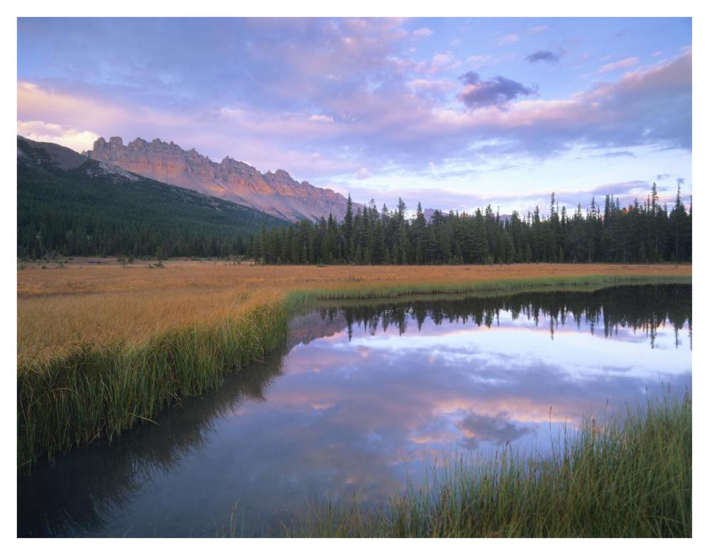 Dolomite Peak And Bow River Backwaters, Banff National Park, Alberta-Paper Art-42X32