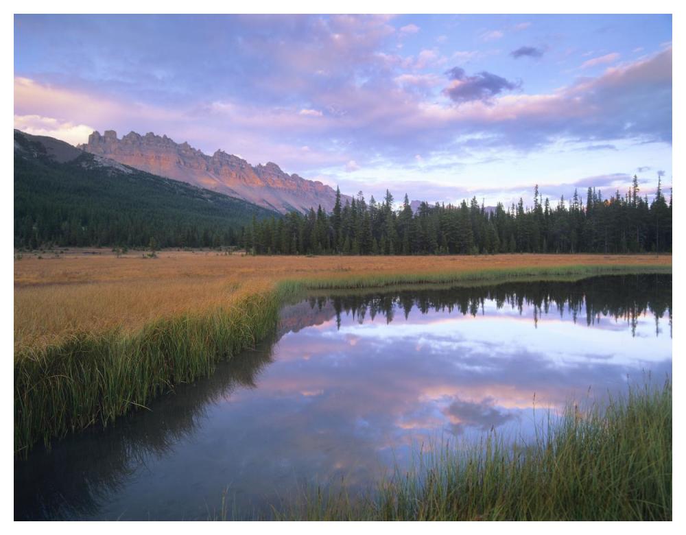 Dolomite Peak And Bow River Backwaters, Banff National Park, Alberta-Paper Art-50X38