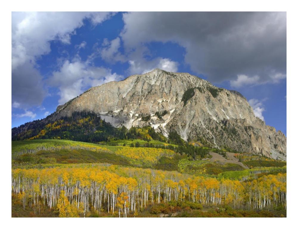 Marcellina Mountain And Aspen Forest In Raggeds Wilderness, Colorado-Paper Art-26X20