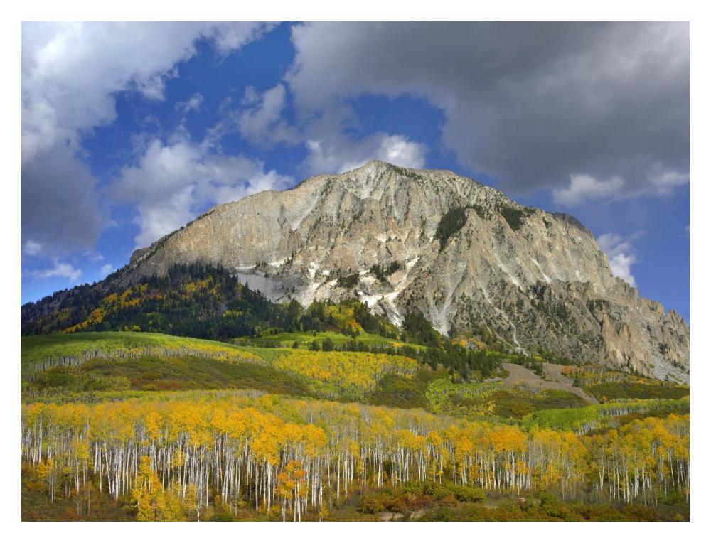 Marcellina Mountain And Aspen Forest In Raggeds Wilderness, Colorado-Paper Art-34X26