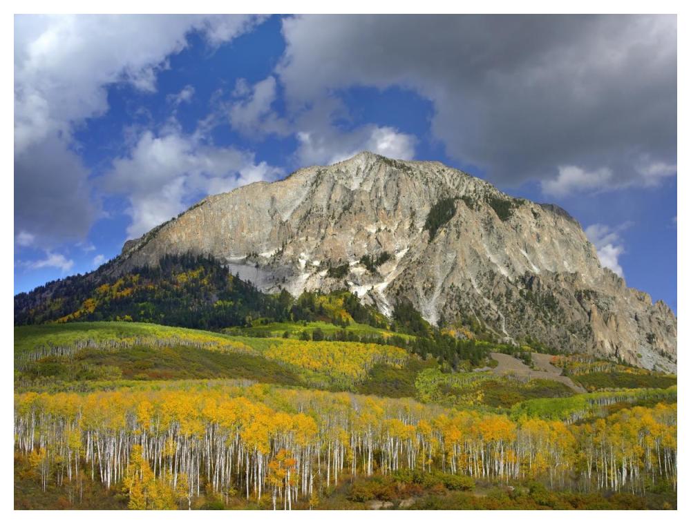 Marcellina Mountain And Aspen Forest In Raggeds Wilderness, Colorado-Paper Art-50X38