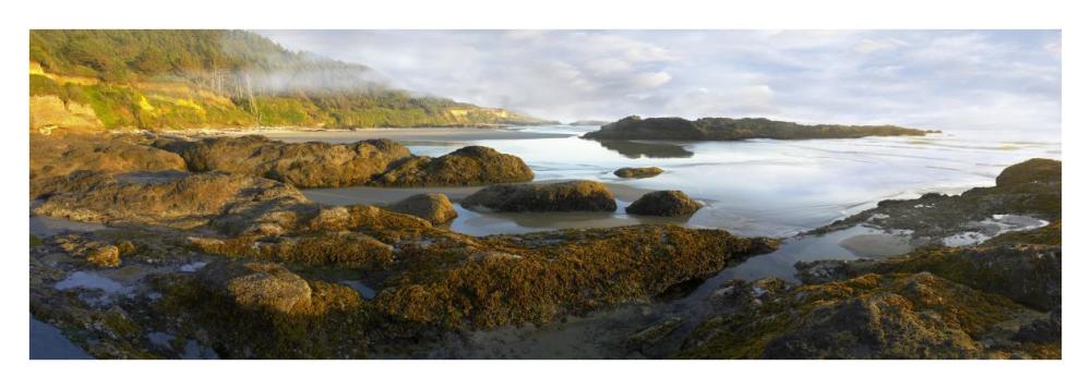 Panorama Of Neptune Beach With Exposed Tide Pools At Low Tide, Oregon-Paper Art-38X14