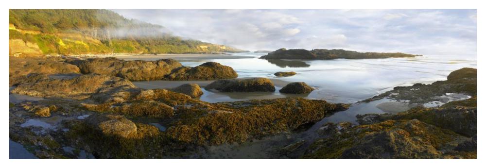 Panorama Of Neptune Beach With Exposed Tide Pools At Low Tide, Oregon-Paper Art-56X20