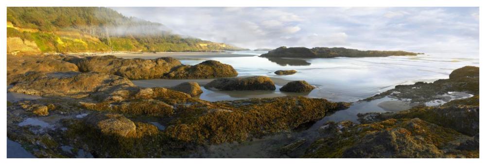 Panorama Of Neptune Beach With Exposed Tide Pools At Low Tide, Oregon-Paper Art-74X26
