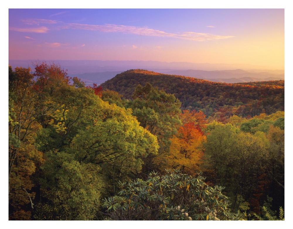 Blue Ridge Mountains With Deciduous Forests In Autumn, North Carolina-Paper Art-18X14