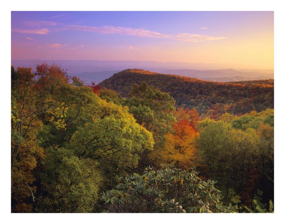 Blue Ridge Mountains With Deciduous Forests In Autumn, North Carolina-Paper Art-26X20