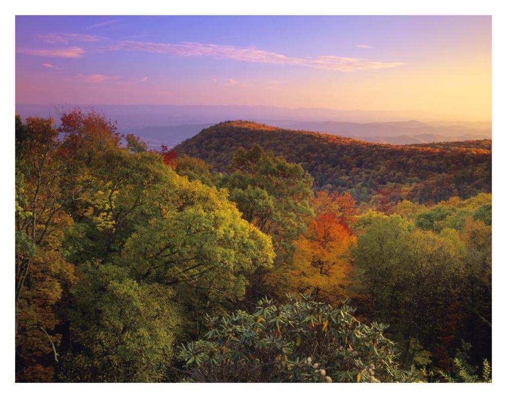Blue Ridge Mountains With Deciduous Forests In Autumn, North Carolina-Paper Art-34X26