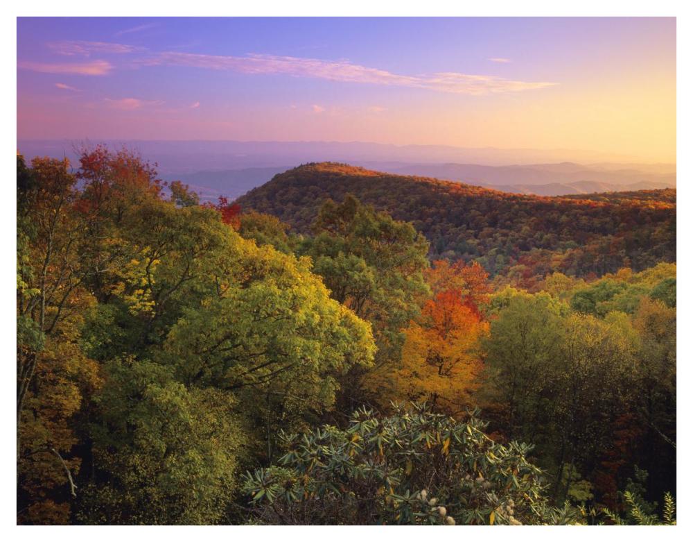 Blue Ridge Mountains With Deciduous Forests In Autumn, North Carolina-Paper Art-42X32