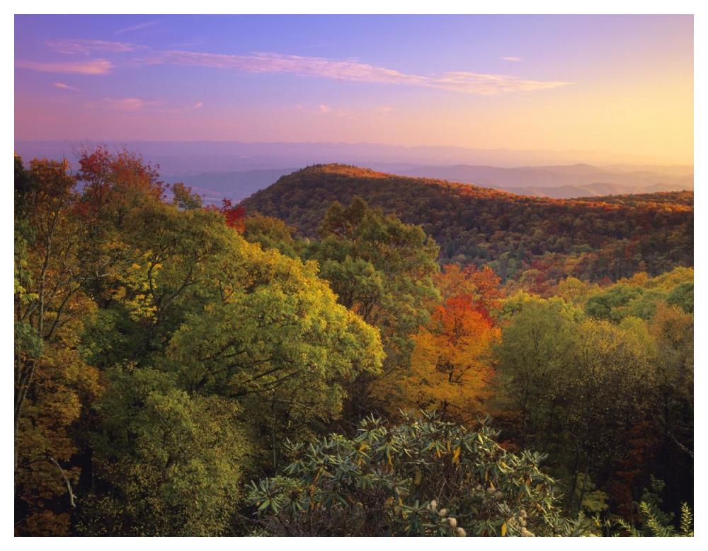 Blue Ridge Mountains With Deciduous Forests In Autumn, North Carolina-Paper Art-50X38