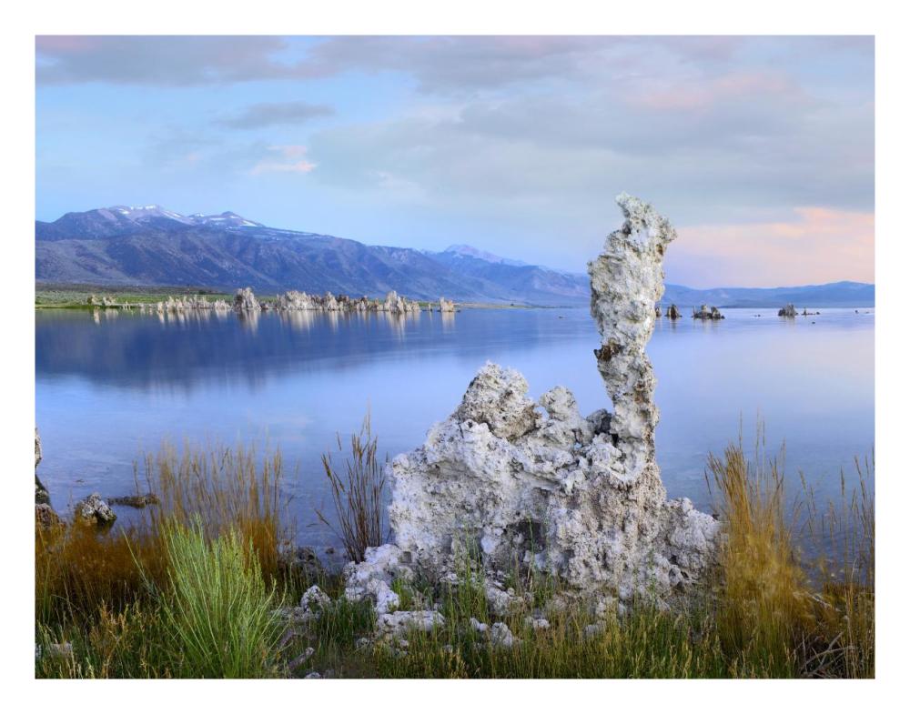 Wind And Rain Eroded Tufa Towers Along Shore Of Mono Lake, California-Paper Art-26X20
