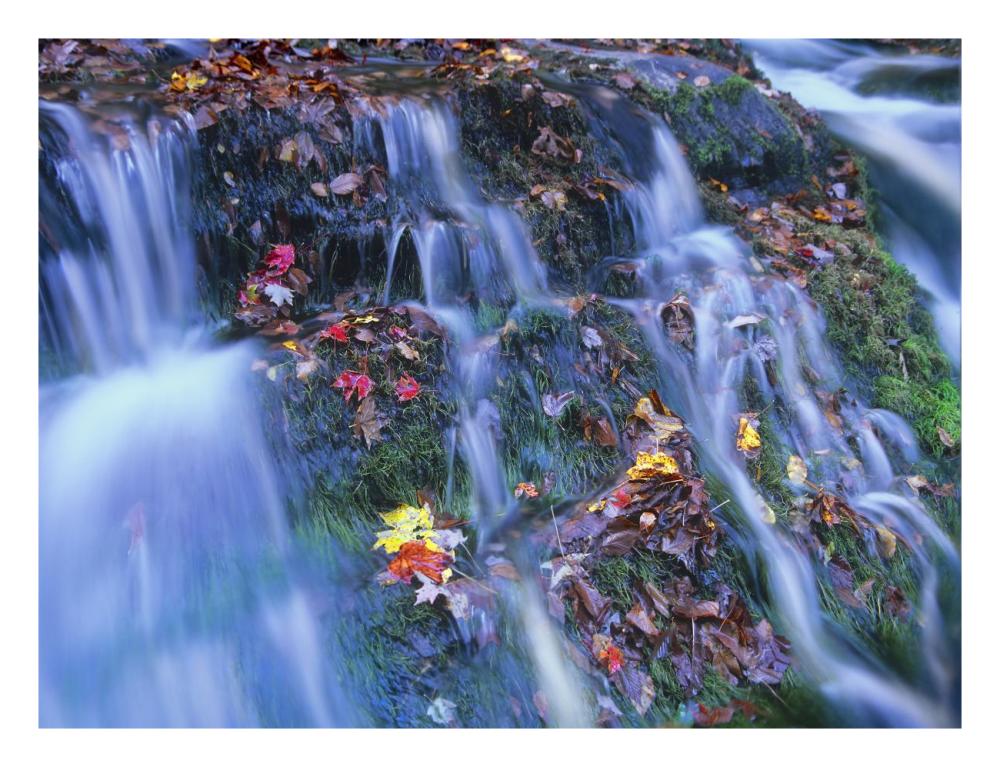 Laurel Creek Cascades, Great Smoky Mountains National Park, Tennessee-Paper Art-26X20