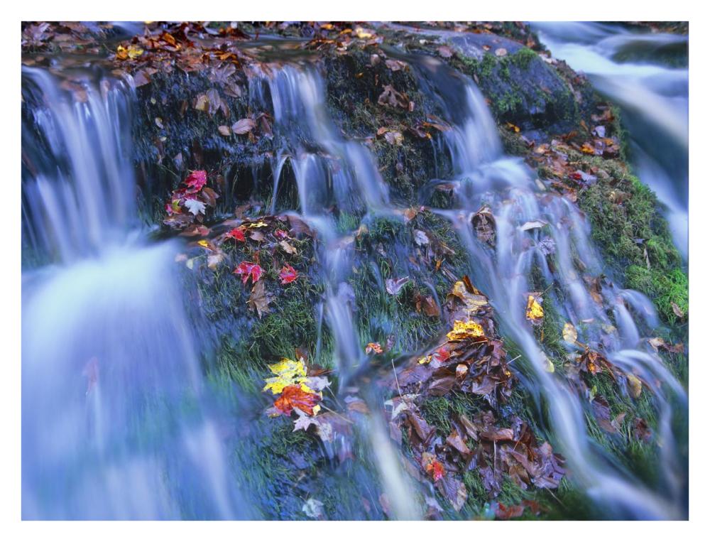 Laurel Creek Cascades, Great Smoky Mountains National Park, Tennessee-Paper Art-34X26
