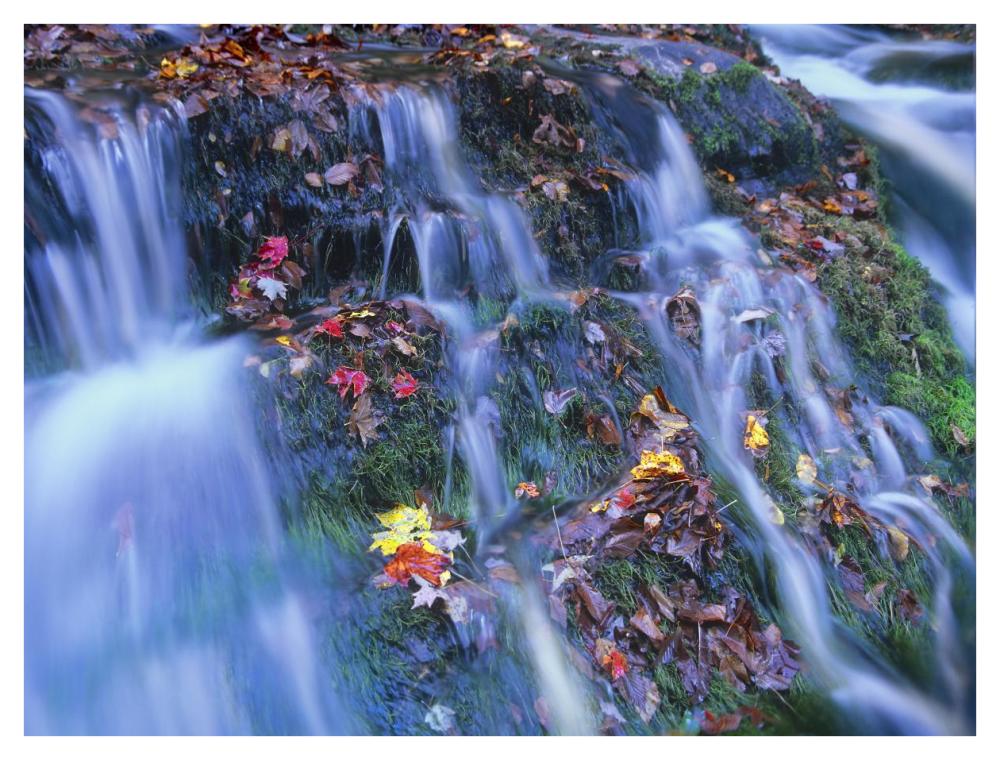 Laurel Creek Cascades, Great Smoky Mountains National Park, Tennessee-Paper Art-42X32