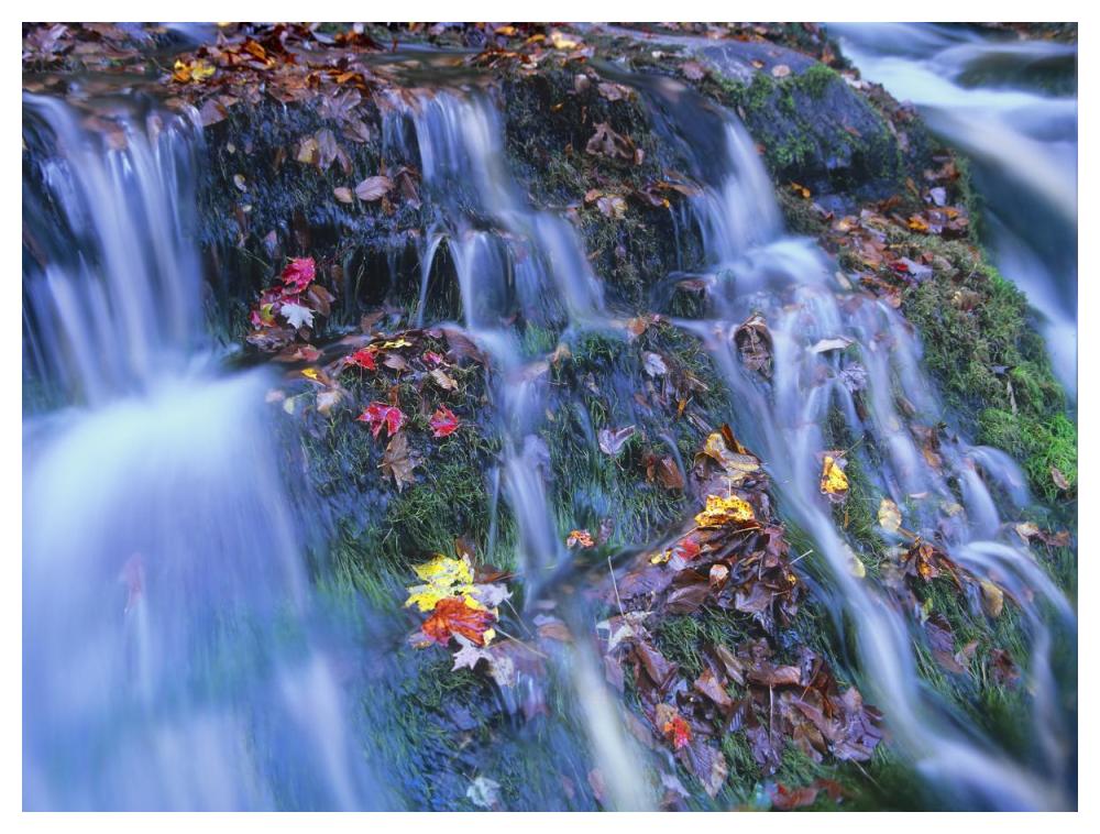 Laurel Creek Cascades, Great Smoky Mountains National Park, Tennessee-Paper Art-50X38
