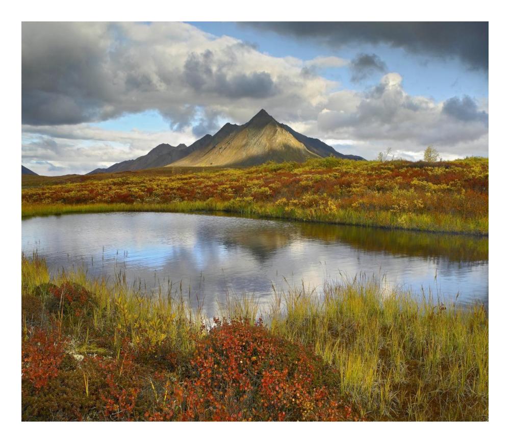 Pond And Ogilvie Mountains, Tombstone Territorial Park, Yukon, Canada-Paper Art-24X20.92