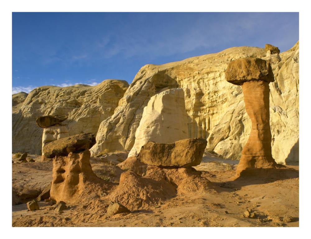 Toadstool Caprocks, Grand Staircase, Escalante National Monument, Utah-Paper Art-26X20