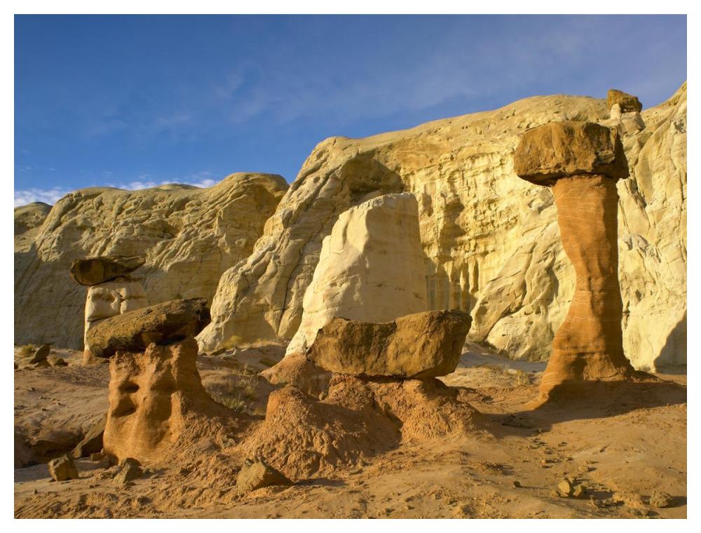 Toadstool Caprocks, Grand Staircase, Escalante National Monument, Utah-Paper Art-50X38