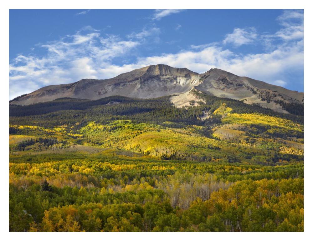 Aspen Forest And East Beckwith Mountain, West Elk Wilderness, Colorado-Paper Art-18X14