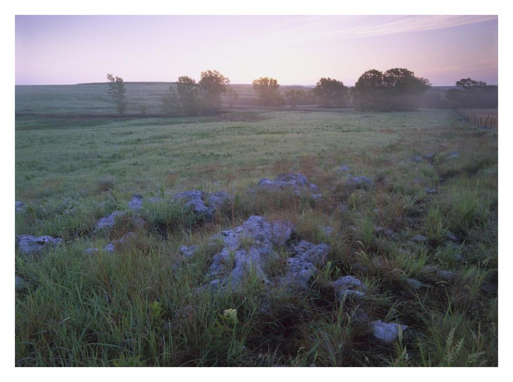 Misty Morning Over Prairie, Tallgrass Prairie National Preserve, Kansas-Paper Art-18X14
