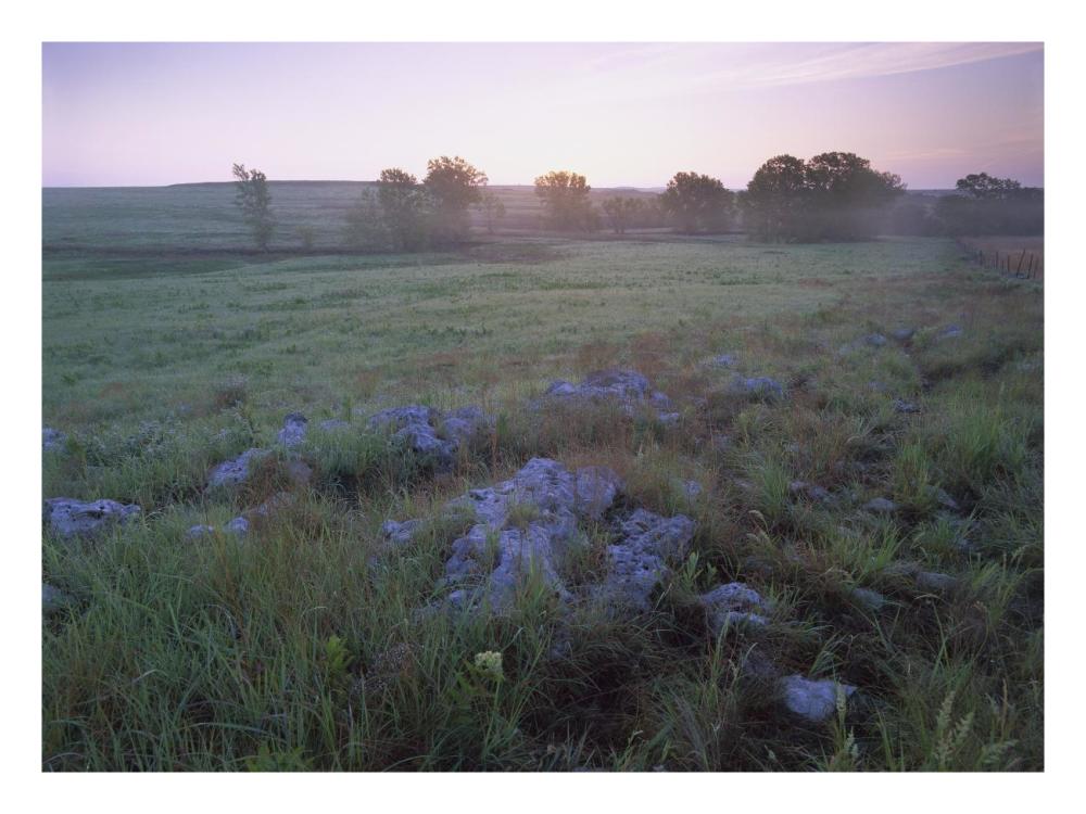 Misty Morning Over Prairie, Tallgrass Prairie National Preserve, Kansas-Paper Art-26X20