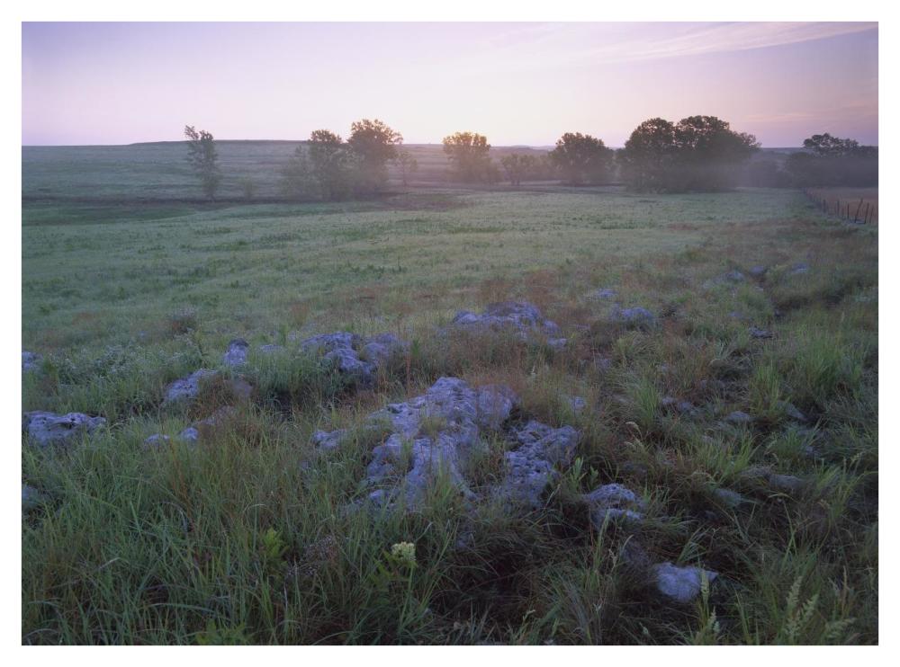 Misty Morning Over Prairie, Tallgrass Prairie National Preserve, Kansas-Paper Art-42X32