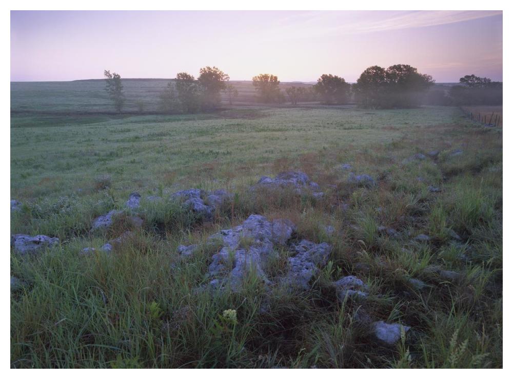 Misty Morning Over Prairie, Tallgrass Prairie National Preserve, Kansas-Paper Art-50X38