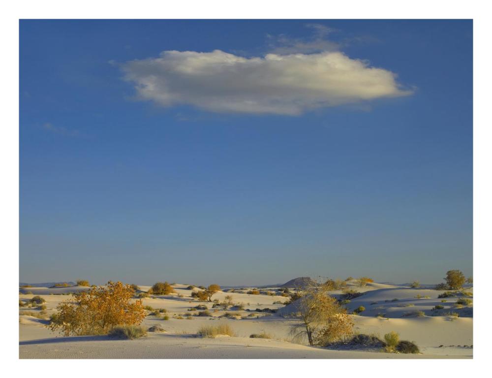 Cloud Over White Sands National Monument, Chihuahuan Desert, New Mexico-Paper Art-26X20