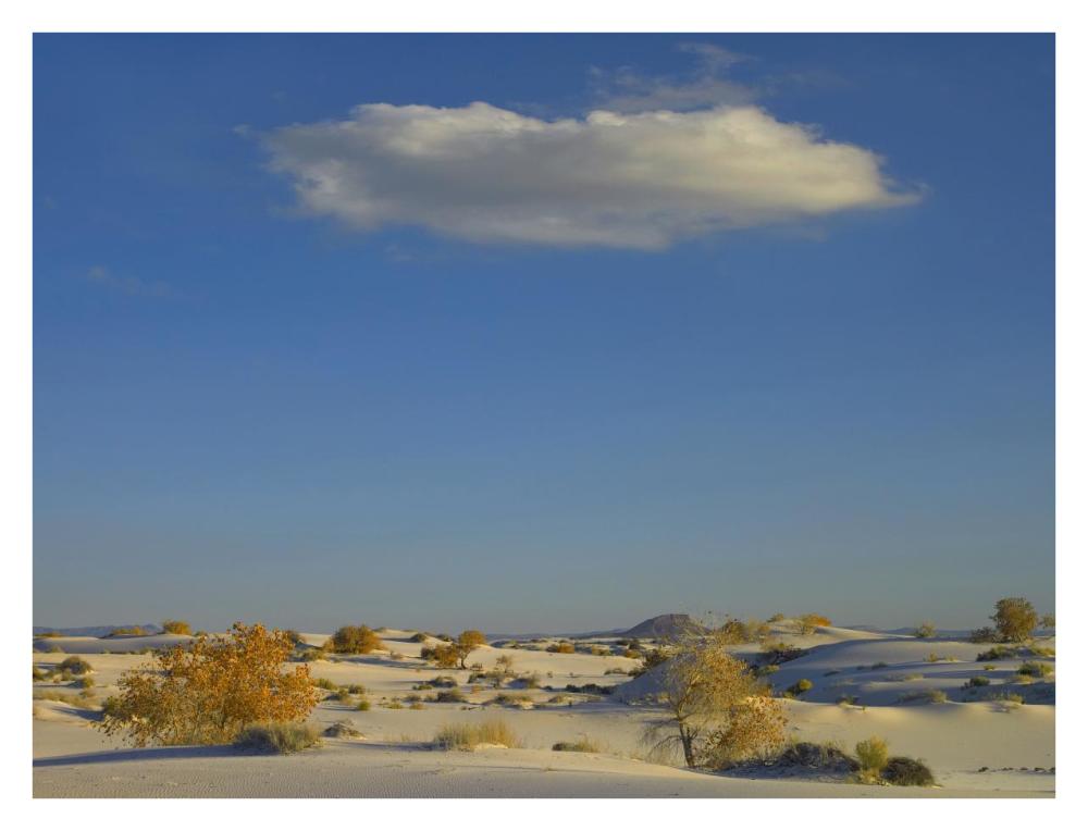 Cloud Over White Sands National Monument, Chihuahuan Desert, New Mexico-Paper Art-34X26