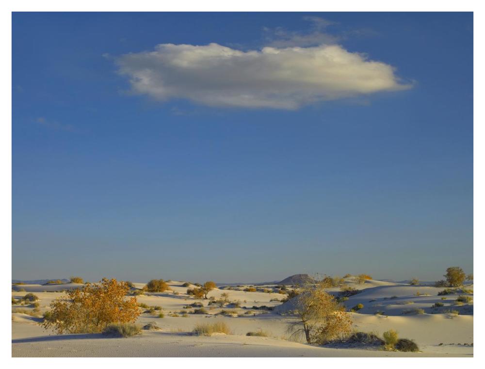 Cloud Over White Sands National Monument, Chihuahuan Desert, New Mexico-Paper Art-42X32
