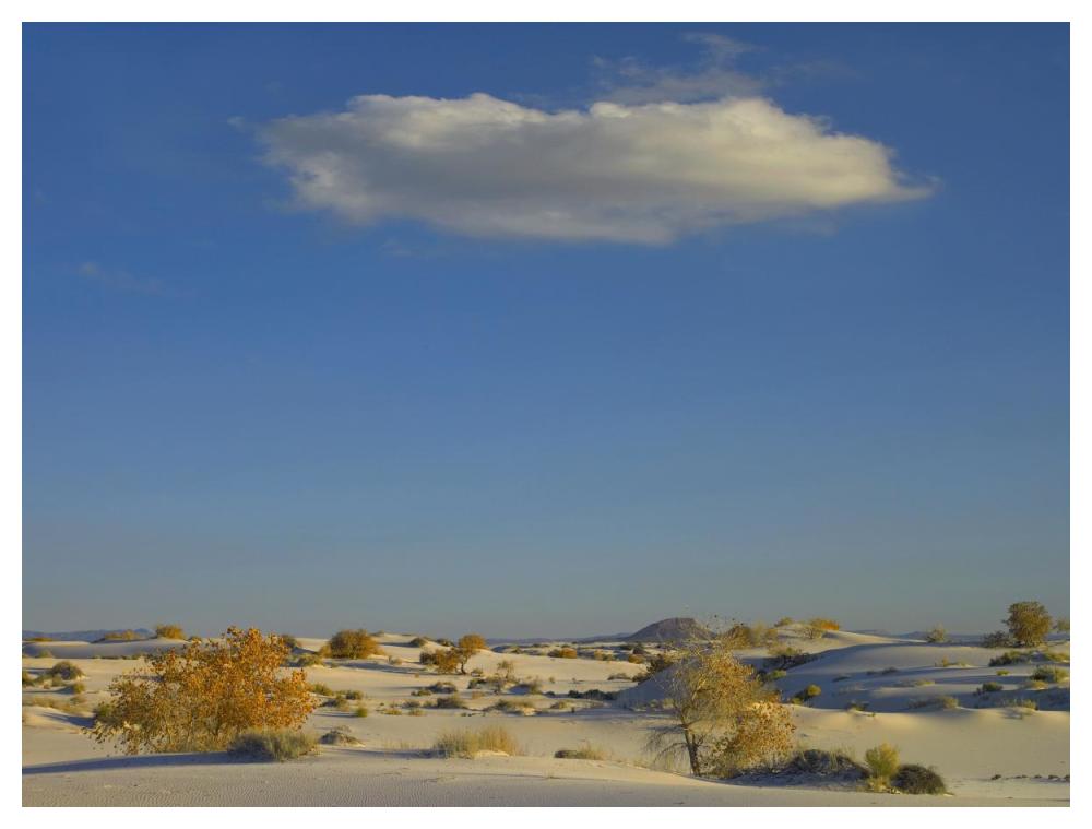 Cloud Over White Sands National Monument, Chihuahuan Desert, New Mexico-Paper Art-50X38