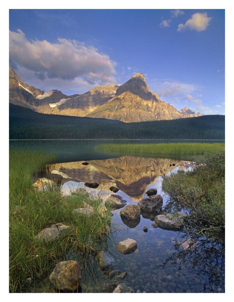 Mount Chephren And Waterfowl Lake, Banff National Park, Alberta, Canada-Paper Art-26X34