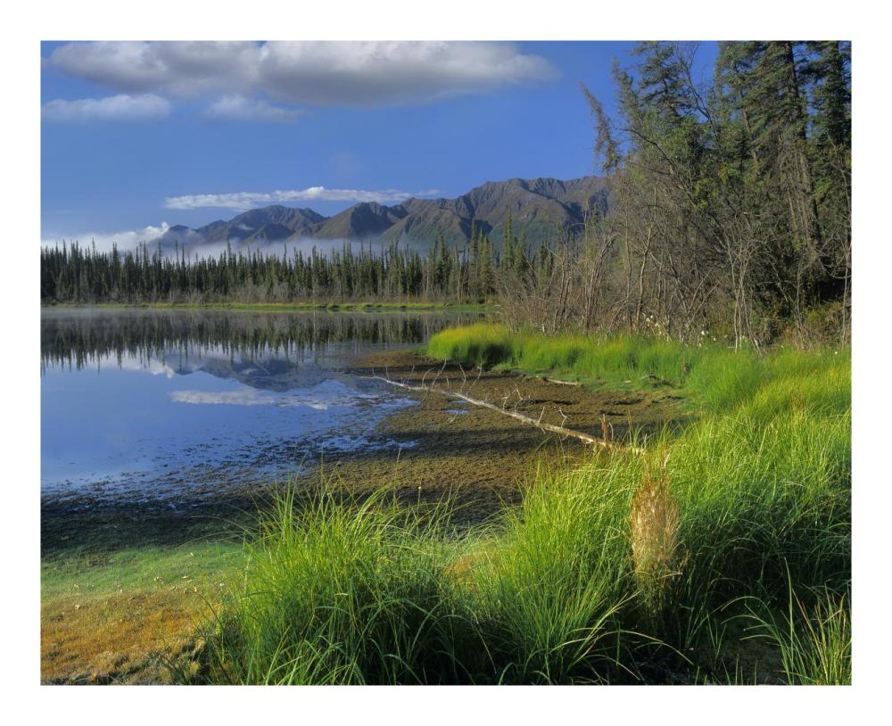 Nutzotin Mountains And Boreal Forest Reflected In Receding Lake, Alaska-Paper Art-22X18