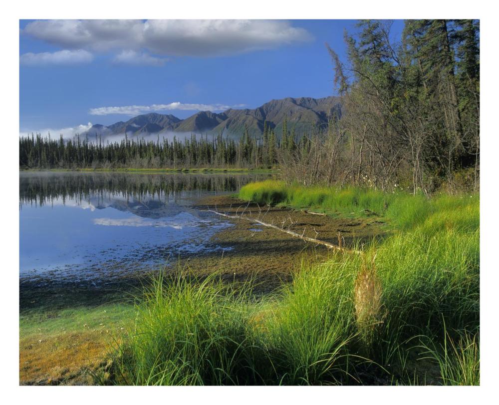 Nutzotin Mountains And Boreal Forest Reflected In Receding Lake, Alaska-Paper Art-26X22