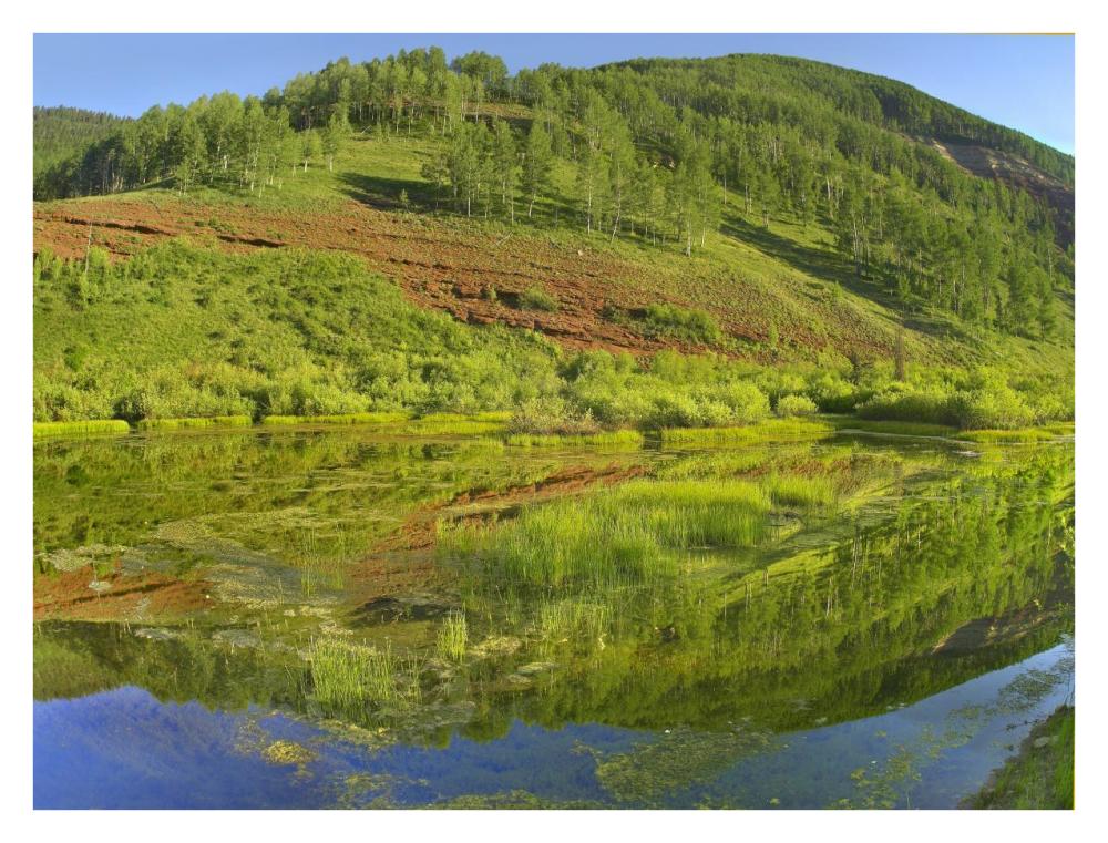 Rico Mountains Reflected In Dolores River Backwater Near Rico, Colorado-Paper Art-34X26