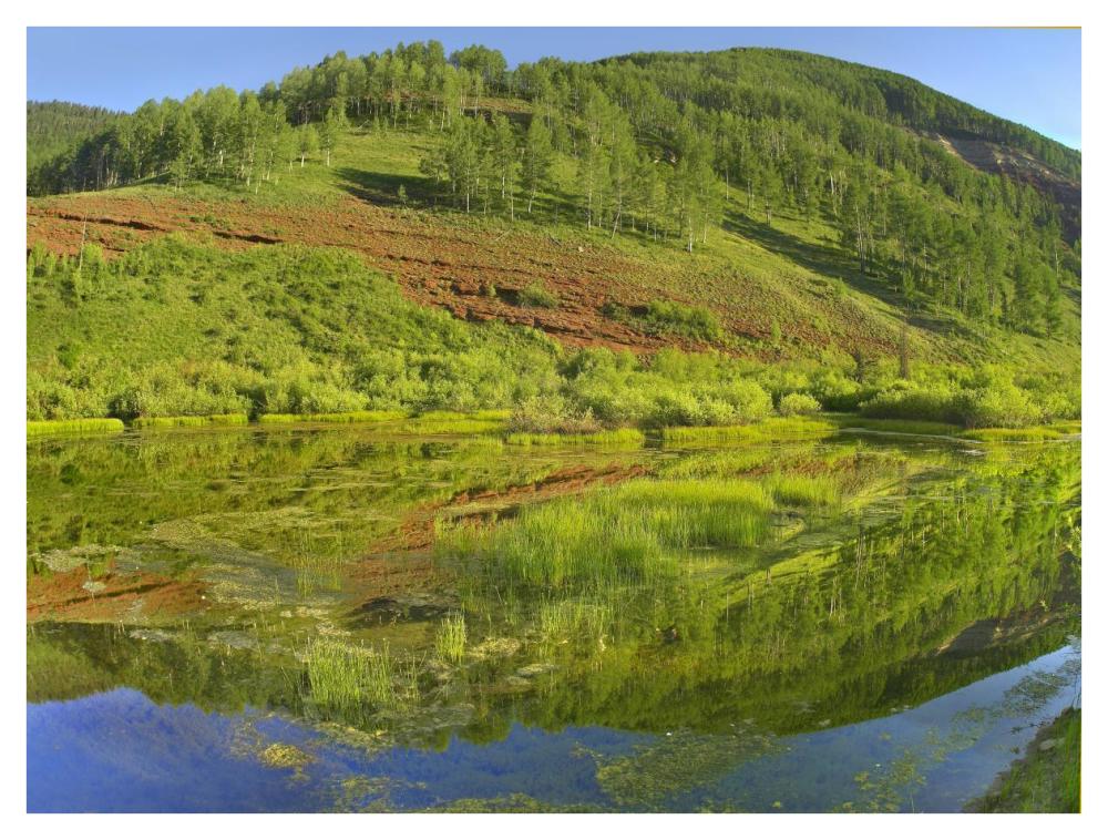 Rico Mountains Reflected In Dolores River Backwater Near Rico, Colorado-Paper Art-42X32