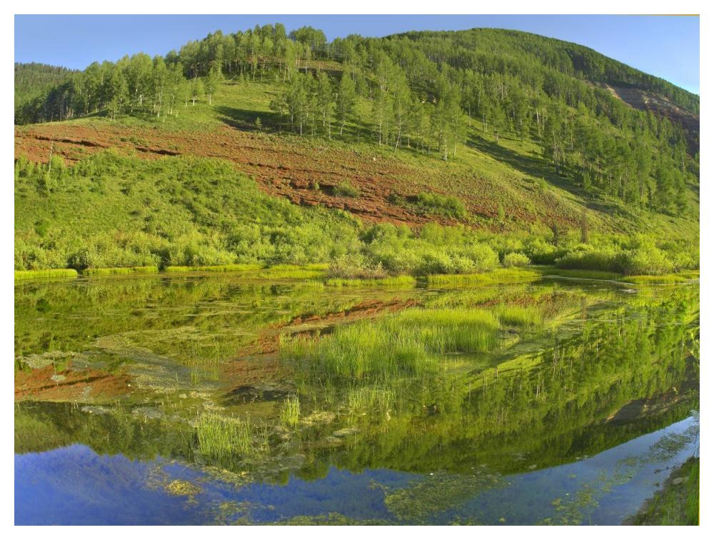 Rico Mountains Reflected In Dolores River Backwater Near Rico, Colorado-Paper Art-50X38