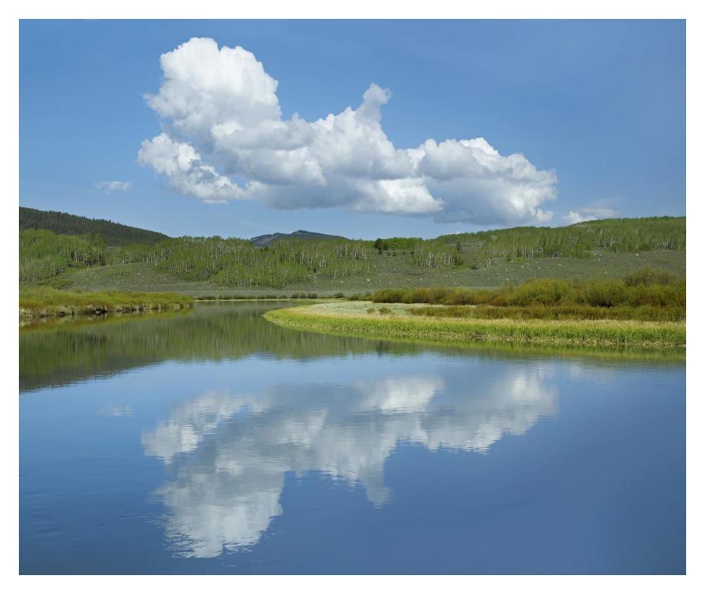 Cumulus Clouds Over Green River, Bridger-Teton National Forest, Wyoming-Paper Art-38X31.88