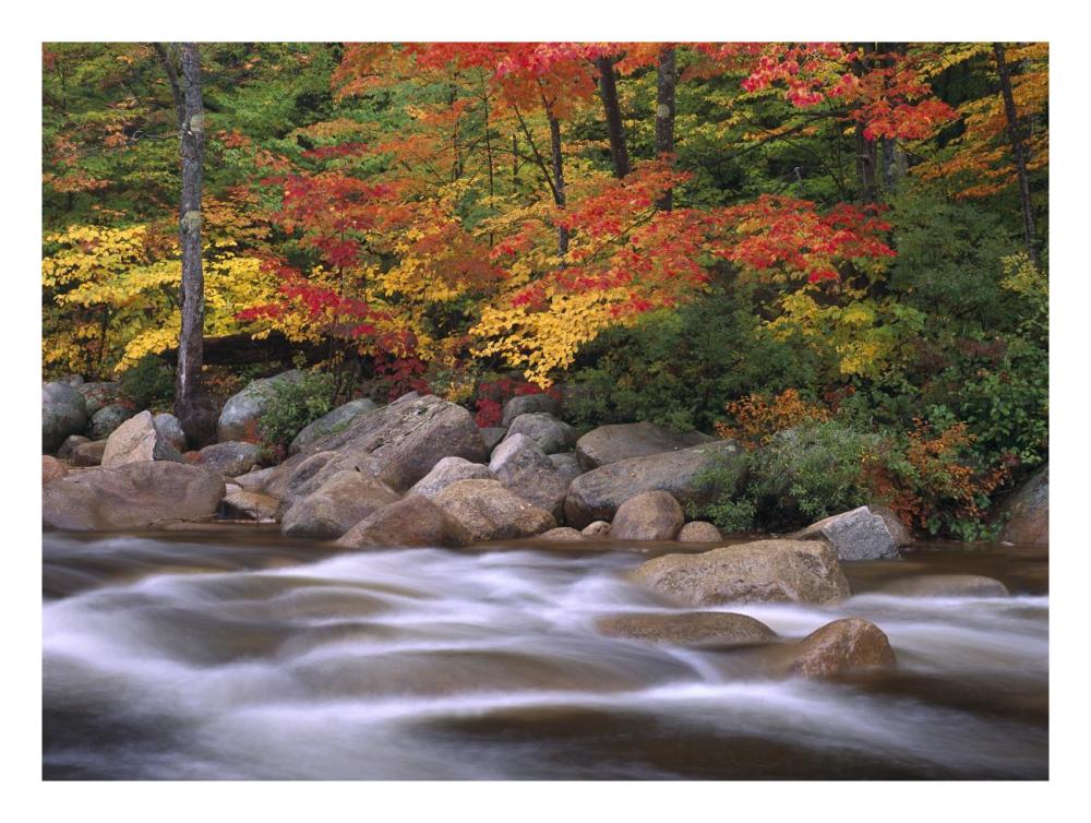 Autumn Along Swift River, White Mountains National Forest, New Hampshire-Paper Art-26X20