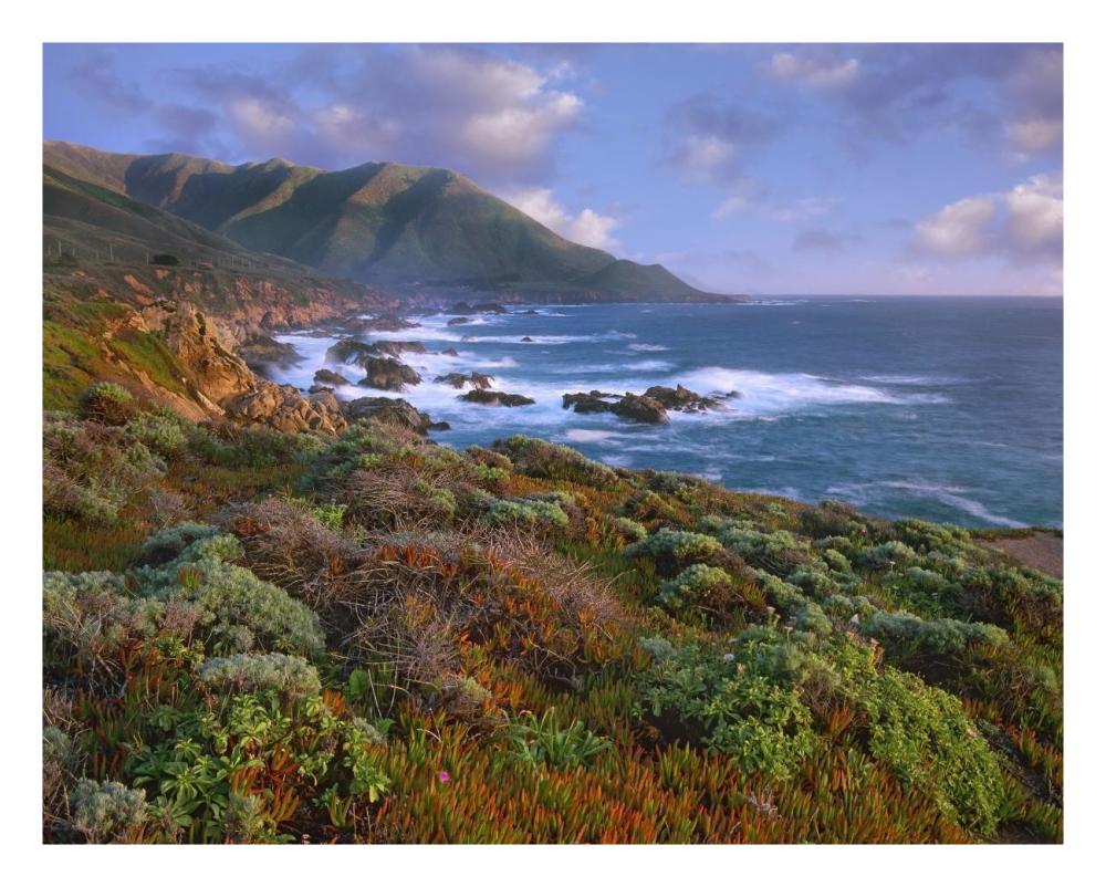 Cliffs And The Pacific Ocean, Garrapata State Beach, Big Sur, California-Paper Art-26X22