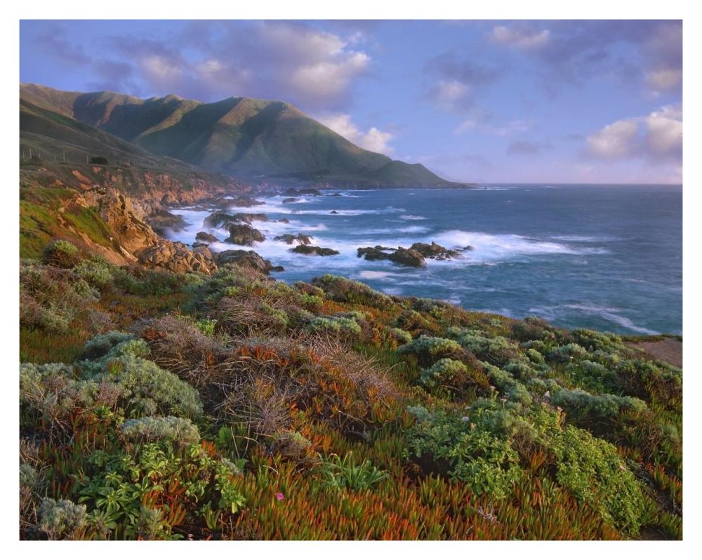 Cliffs And The Pacific Ocean, Garrapata State Beach, Big Sur, California-Paper Art-37X30