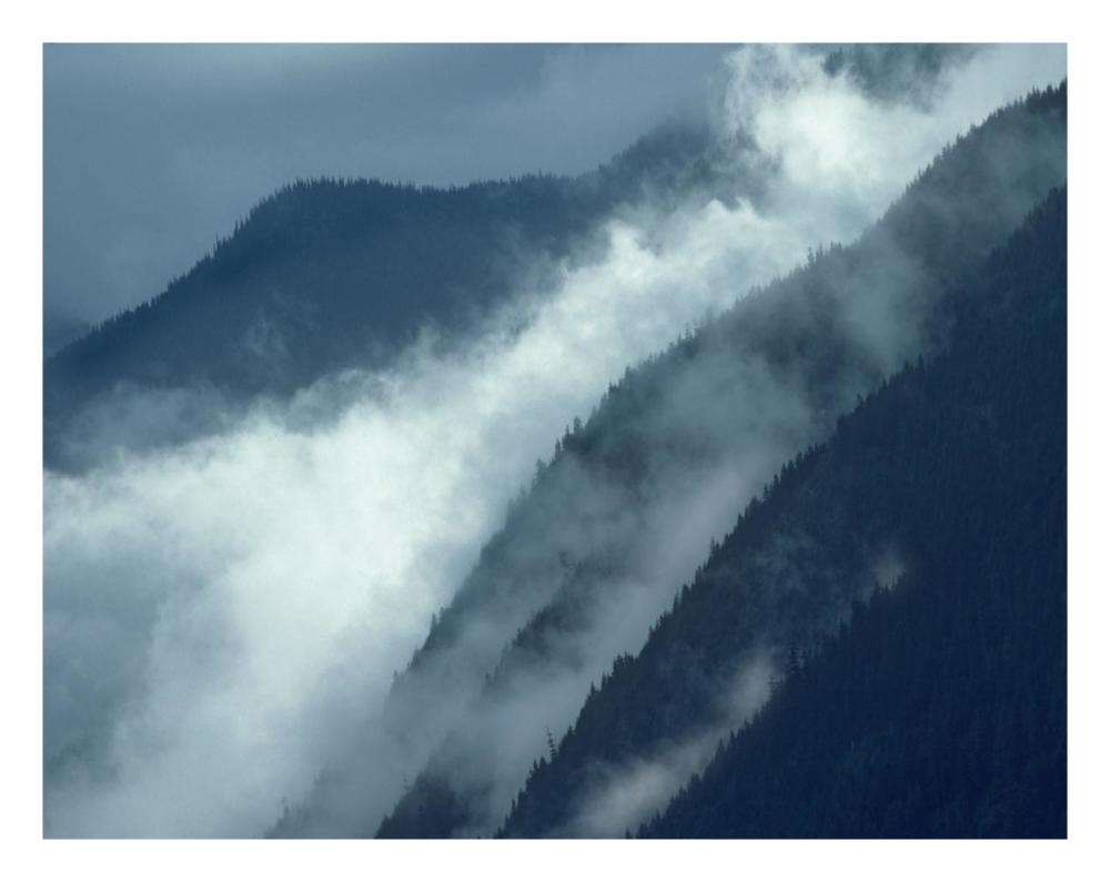 Mist Rising In The Cascade Mountains Near Hope, British Columbia, Canada-Paper Art-26X20