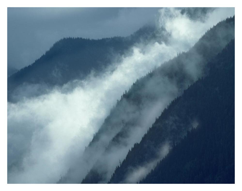 Mist Rising In The Cascade Mountains Near Hope, British Columbia, Canada-Paper Art-34X26