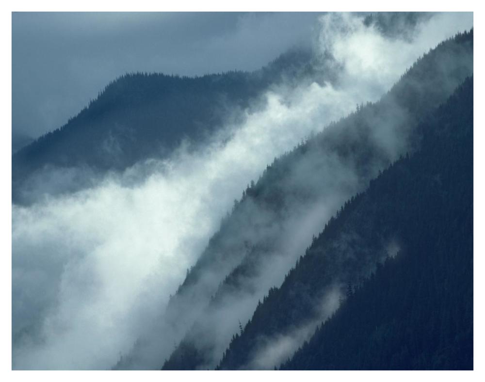 Mist Rising In The Cascade Mountains Near Hope, British Columbia, Canada-Paper Art-42X32