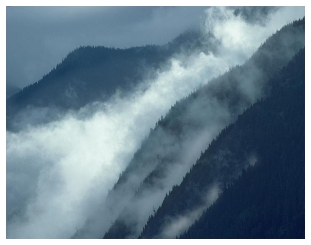 Mist Rising In The Cascade Mountains Near Hope, British Columbia, Canada-Paper Art-50X38