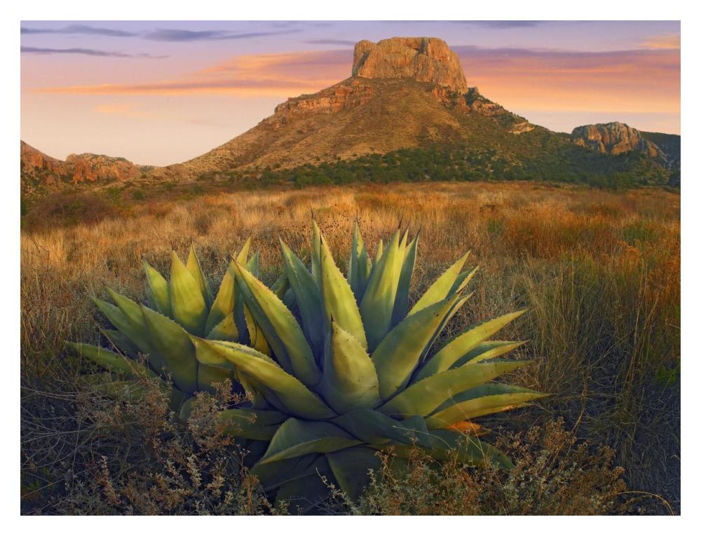 Casa Grande Butte With Agave In Foreground, Big Bend National Park, Texas-Paper Art-18X14